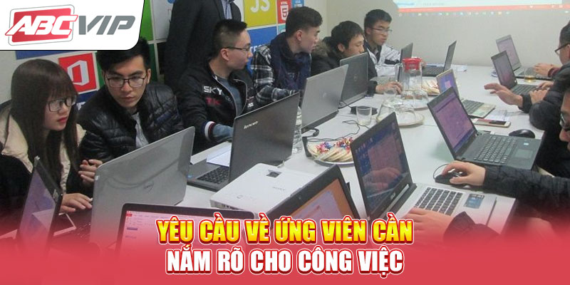 yeu-cau-ve-ung-vien-can-nam-ro-cho-cong-viec