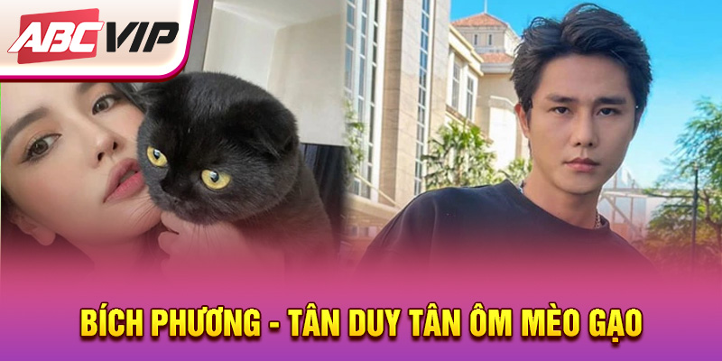 bich-phuong-tan-duy-tan-om-meo-gao